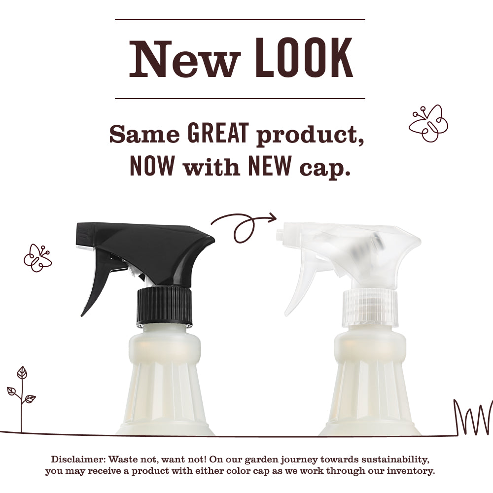 Peppermint Multi-Surface Everyday Cleaner - Image 3