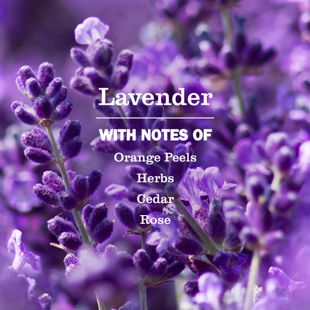 Lavender Tub & Tile - Image 4